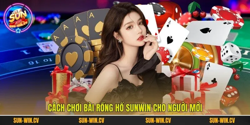 Cách chơi bài Rồng Hổ Sunwin cho người mới